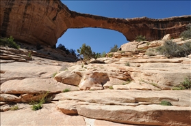 Natural Bridges